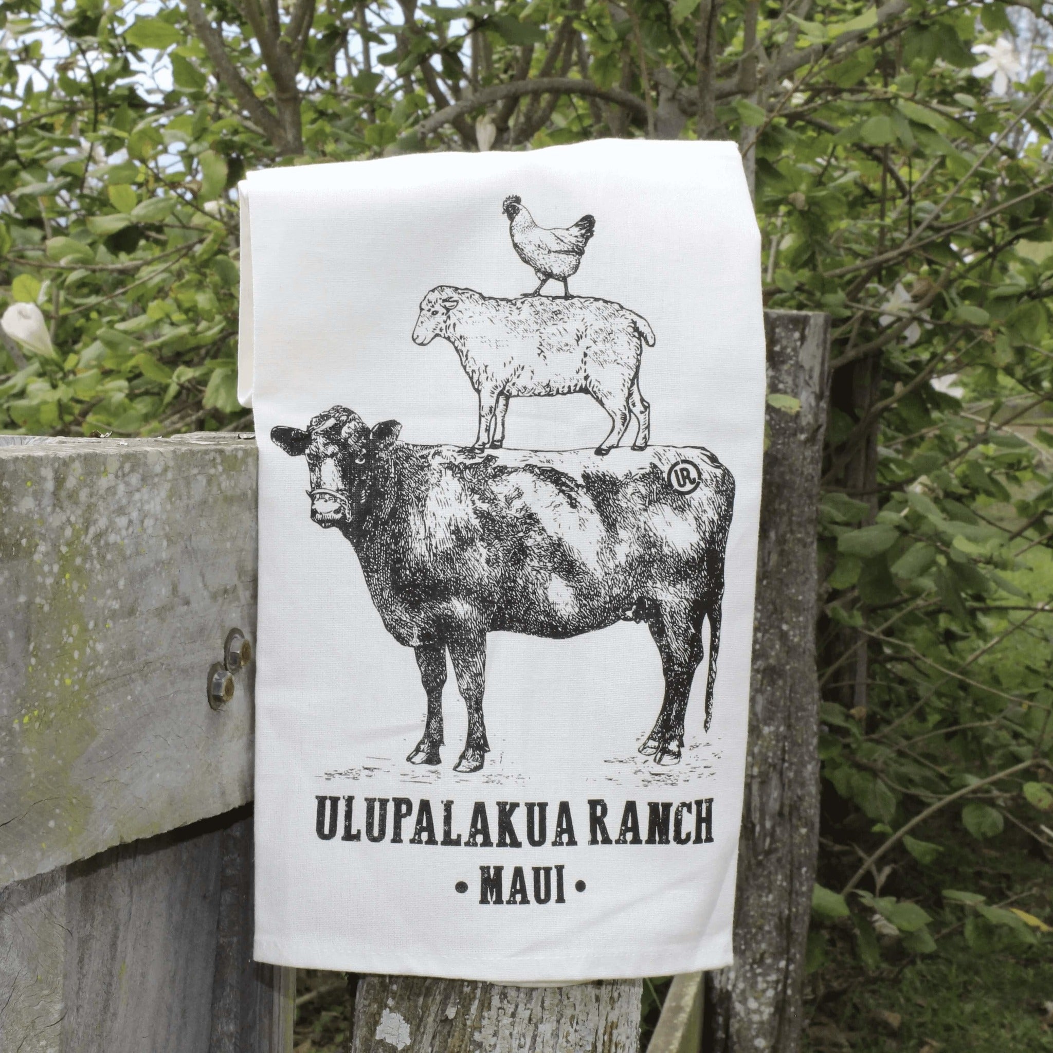 Collections – Ulupalakua Ranch Store