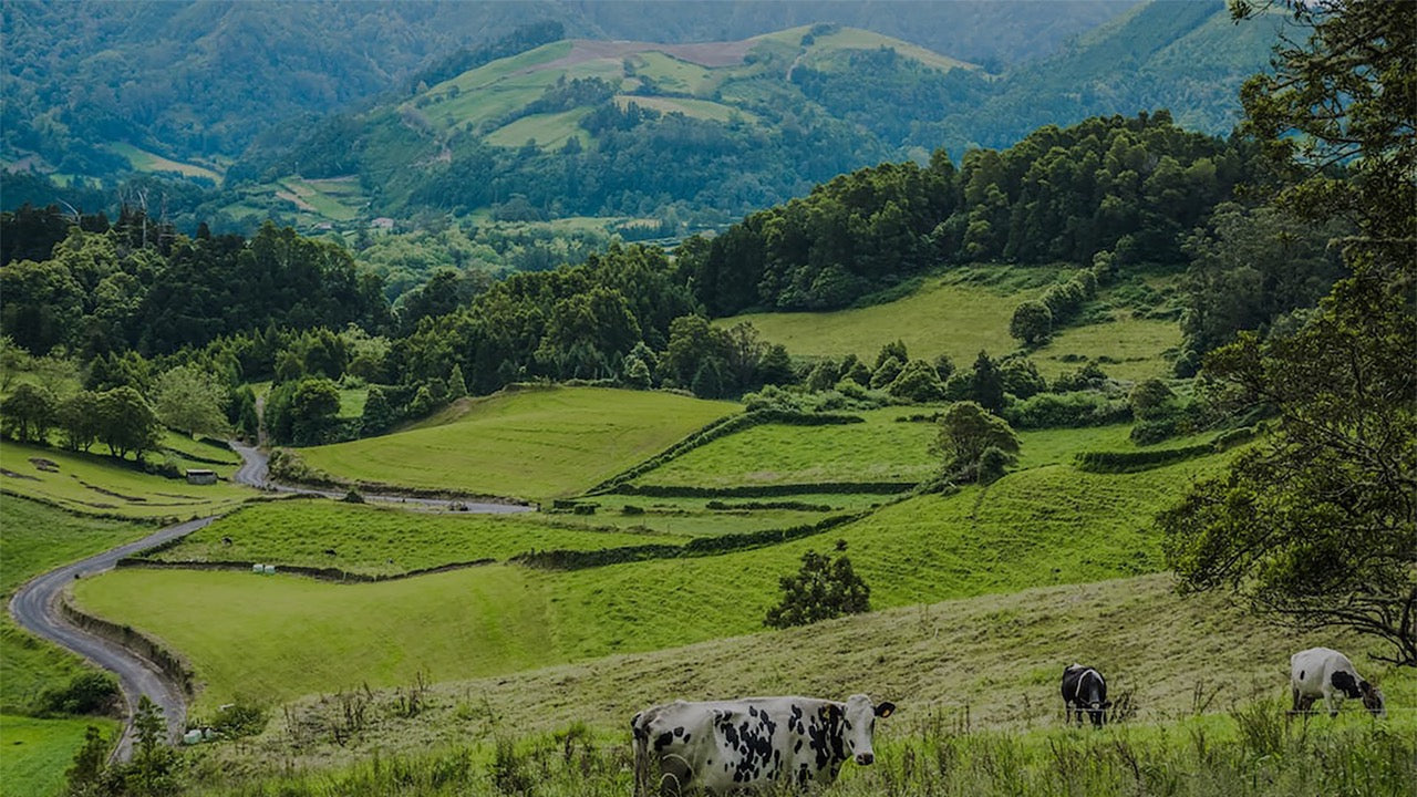 About – Ulupalakua Ranch Store