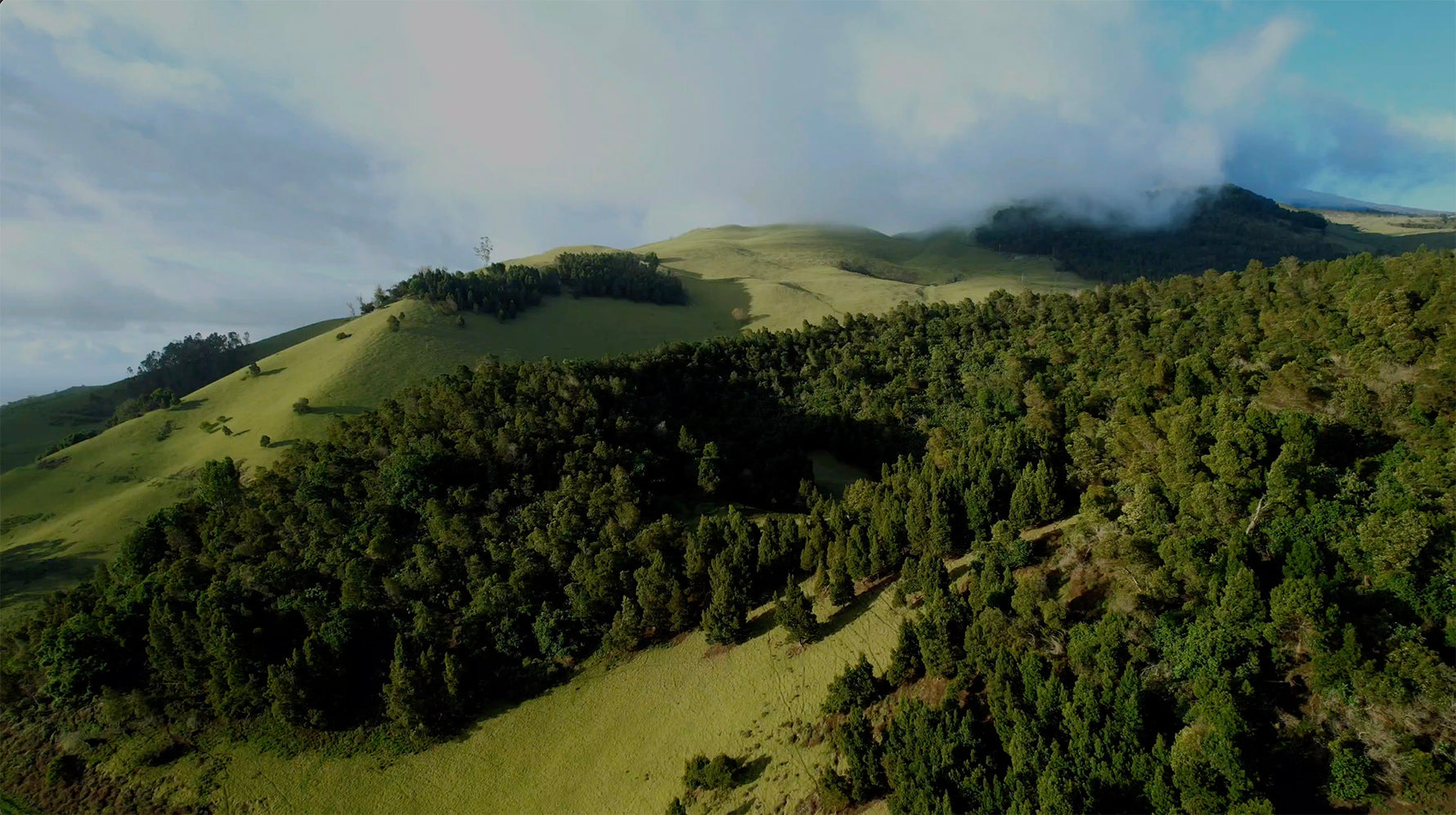 About – Ulupalakua Ranch Store